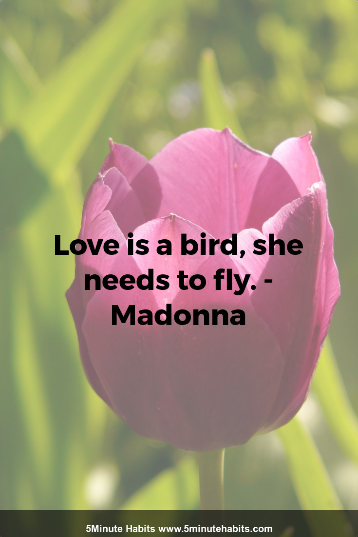 Love is a bird, she needs to fly. - Madonna